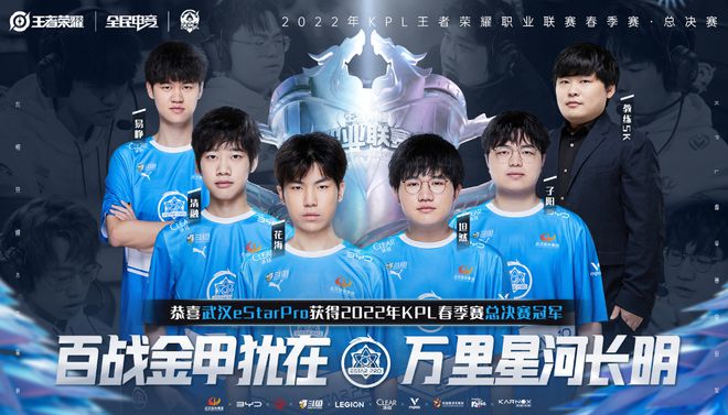 持续的财务